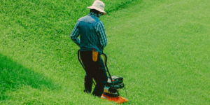 Choosing Right Lawn Mower Gas vs Electric Push vs Self-Propelled